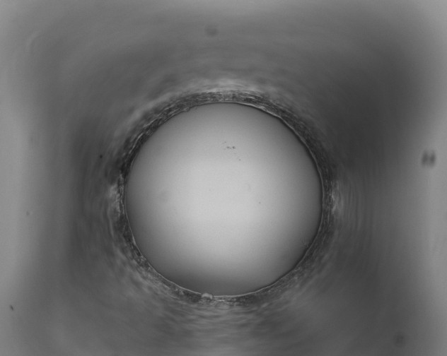 X0000112421493200908281826