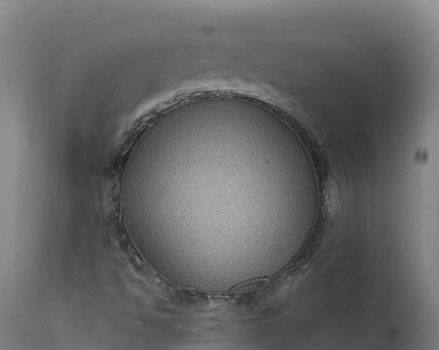 X0000112421494200908281826