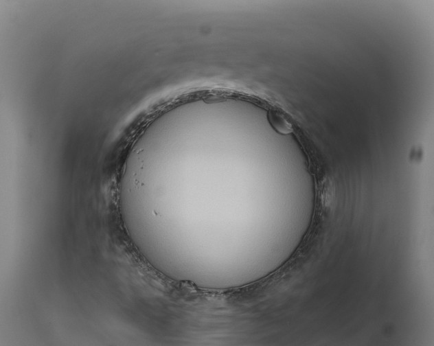 X0000112421495200908281826