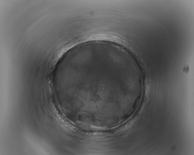 X0000112421497200908281826