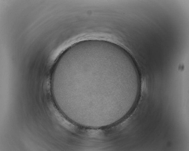 X0000112421498200908281826