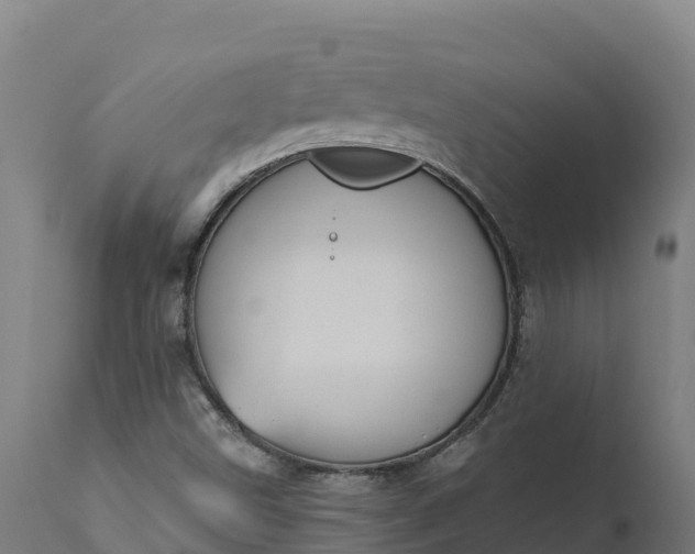 X0000112421499200908281826