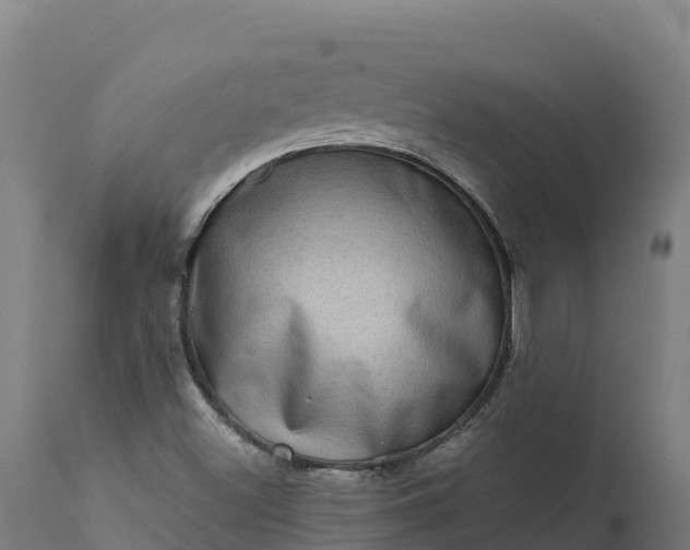 X0000112421500200908281826