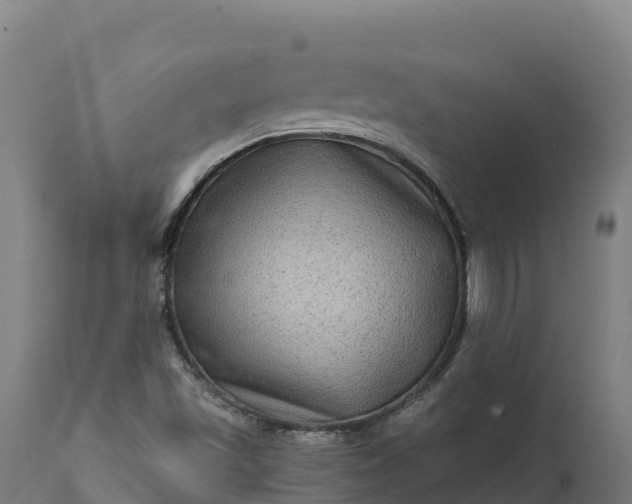 X0000112421501200908281826