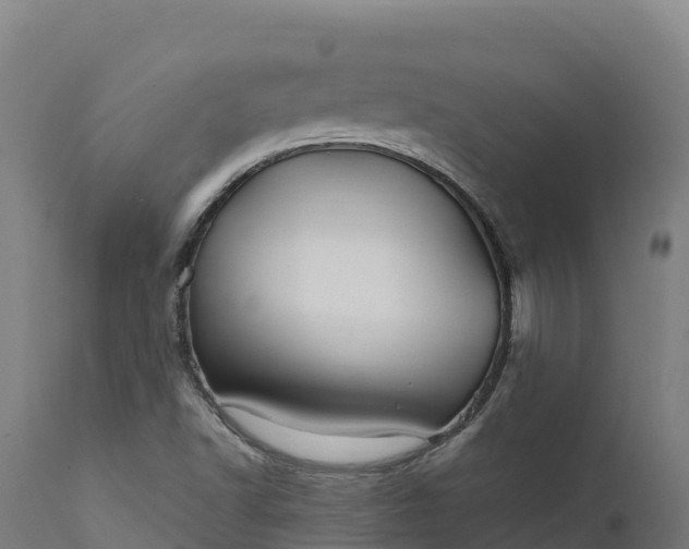 X0000112421502200908281826