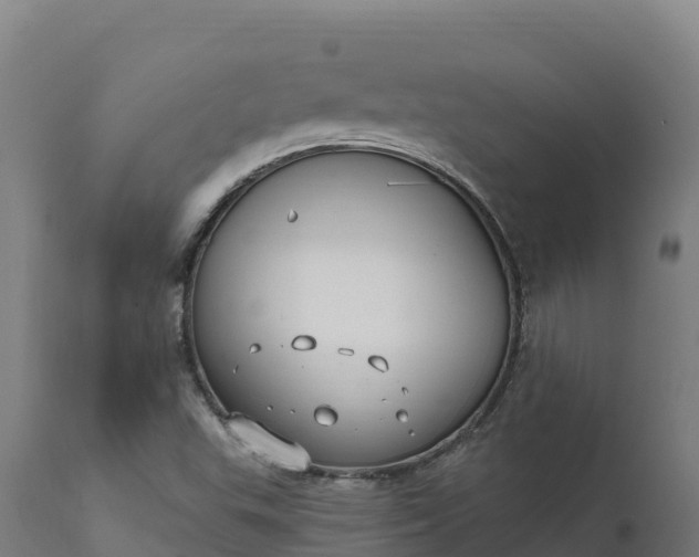 X0000112421503200908281826