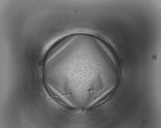 X0000112421504200908281826