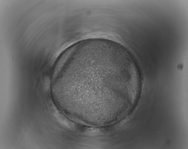 X0000112421505200908281826