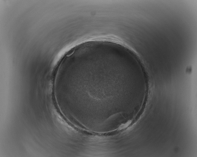 X0000112421506200908281826