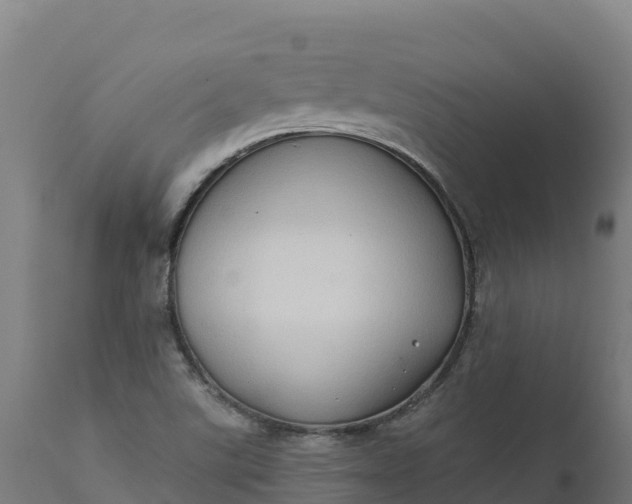 X0000112421507200908281826