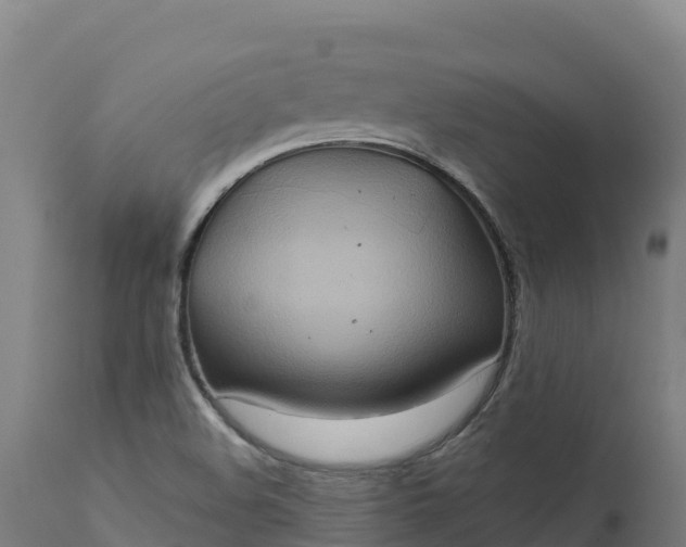 X0000112421508200908281826