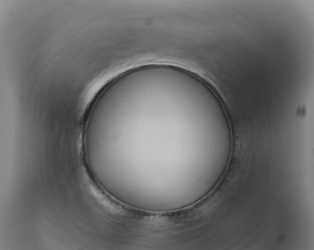 X0000112421511200908281826