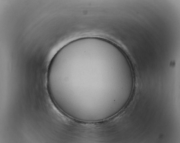 X0000112421512200908281826