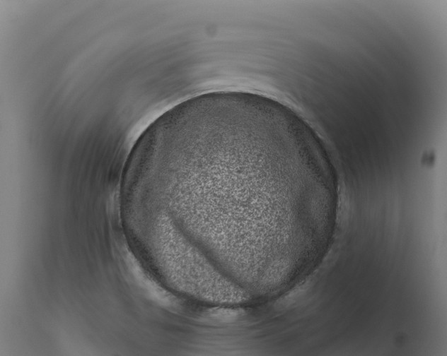 X0000112421513200908281826