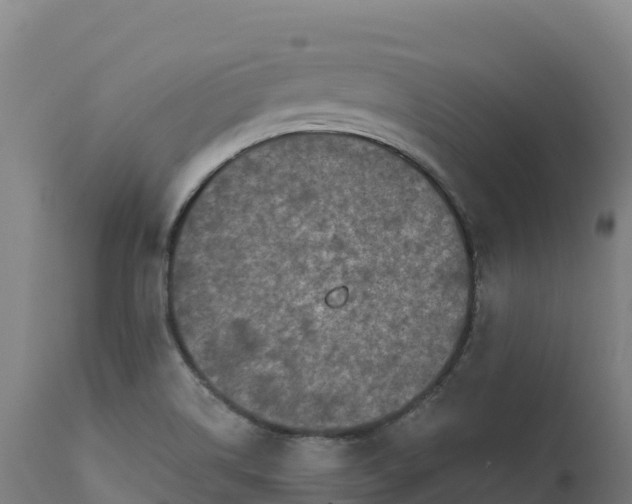 X0000112421514200908281826