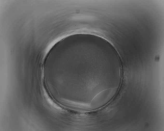 X0000112421515200908281826