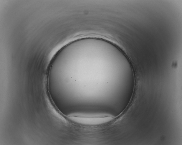 X0000112421518200908281826