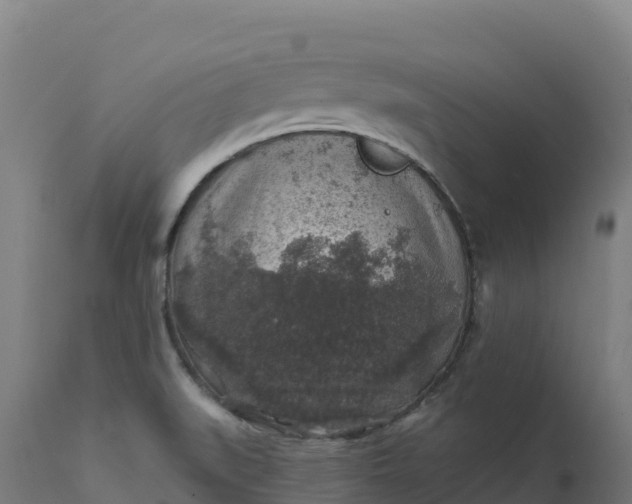 X0000112421519200908281826