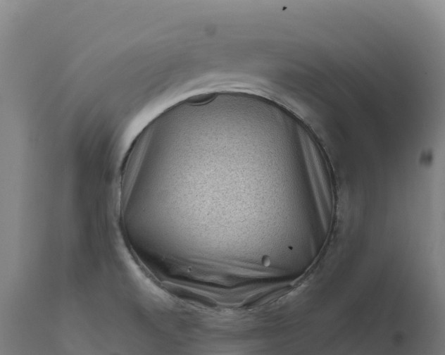 X0000112421520200908281826