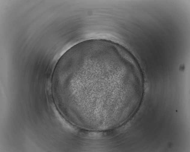 X0000112421521200908281826