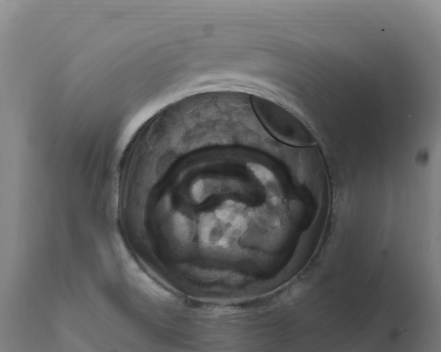 X0000112421522200908281826