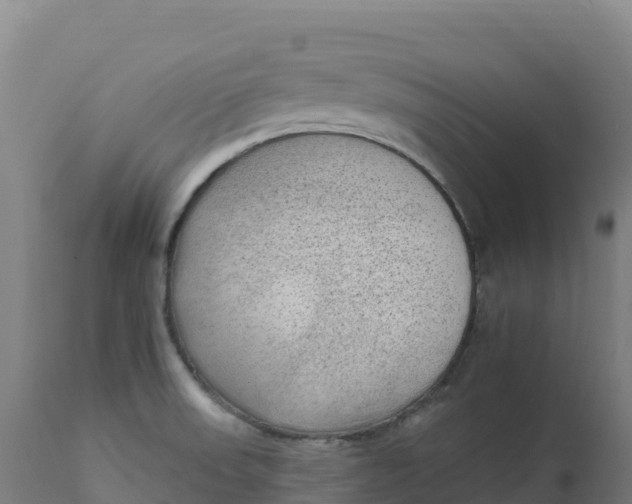 X0000112421523200908281826