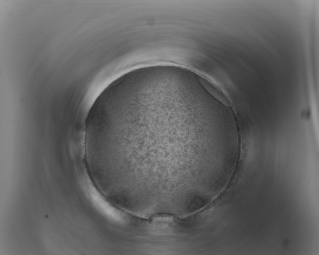 X0000112421524200908281826