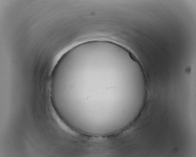 X0000112421526200908281826