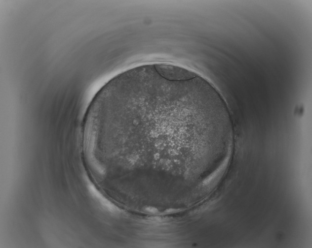 X0000112421527200908281826