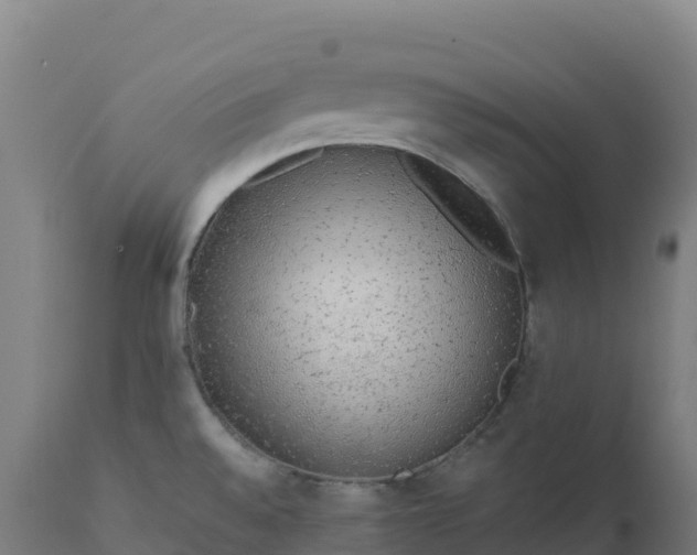 X0000112421528200908281826