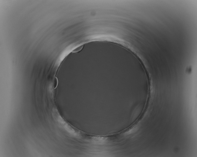 X0000112421529200908281826