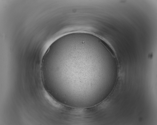 X0000112421532200908281826