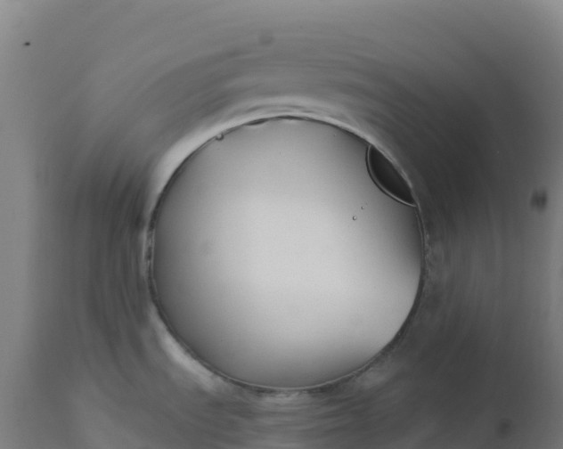 X0000112421535200908281826