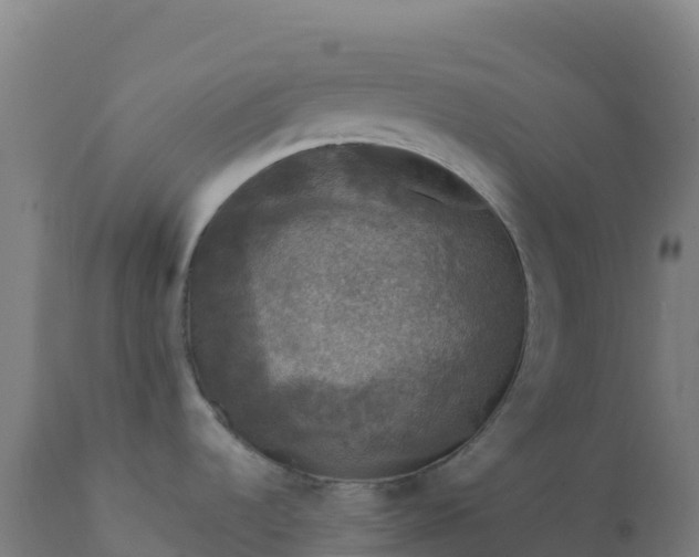 X0000112421536200908281826