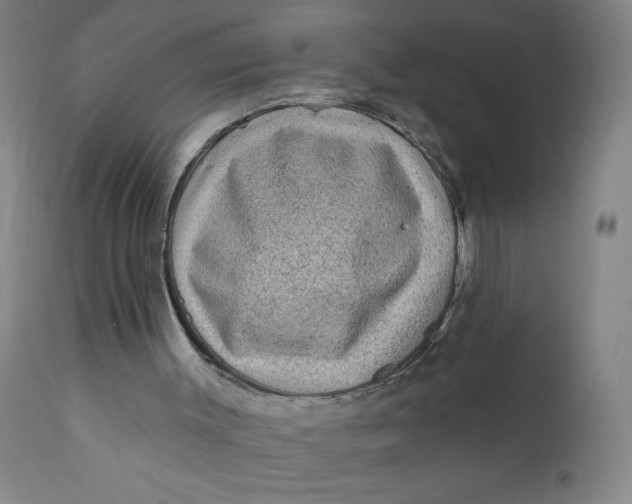 X0000112420003200909041423