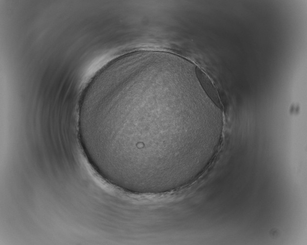 X0000112420005200909041423