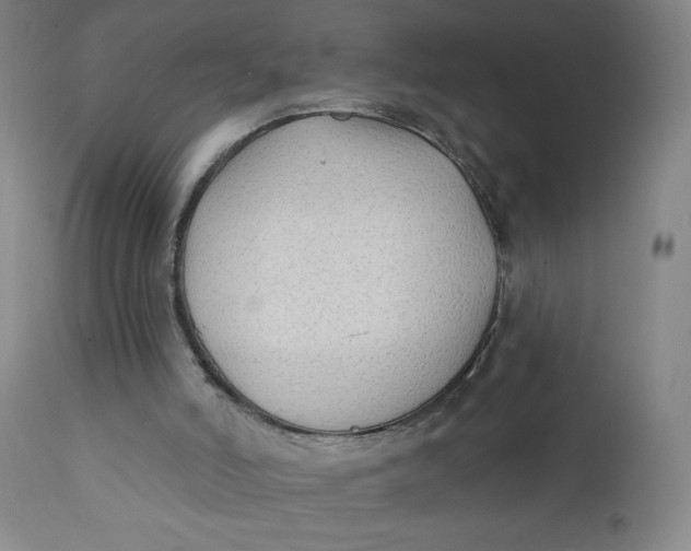 X0000112420006200909041423