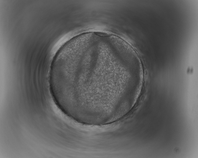 X0000112420007200909041423