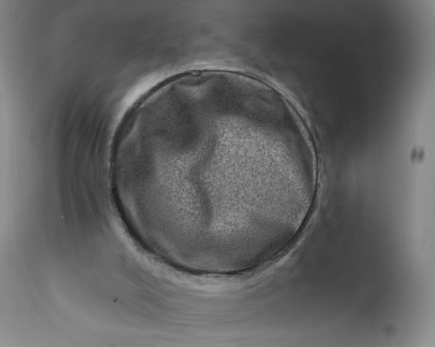 X0000112420008200909041423