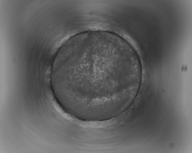 X0000112420009200909041423