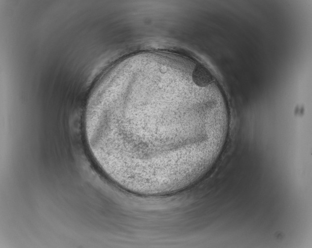 X0000112420010200909041423