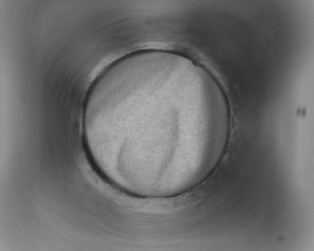 X0000112420011200909041423