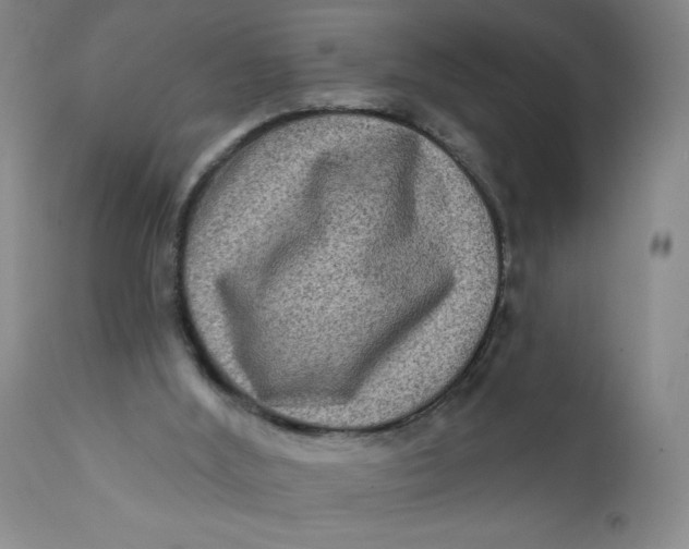 X0000112420012200909041423