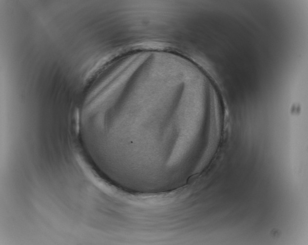 X0000112420013200909041423