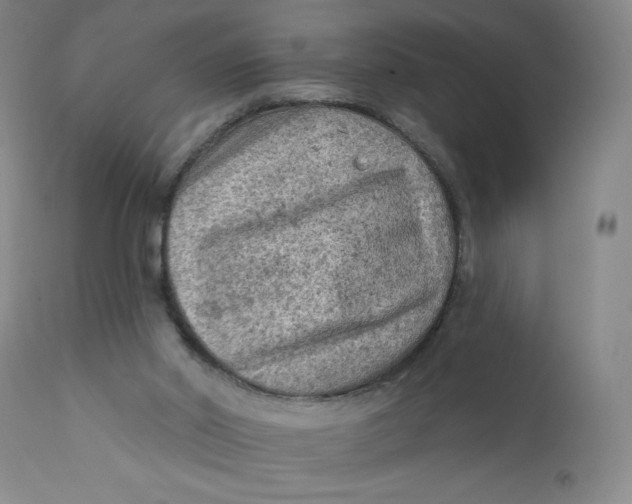 X0000112420014200909041423