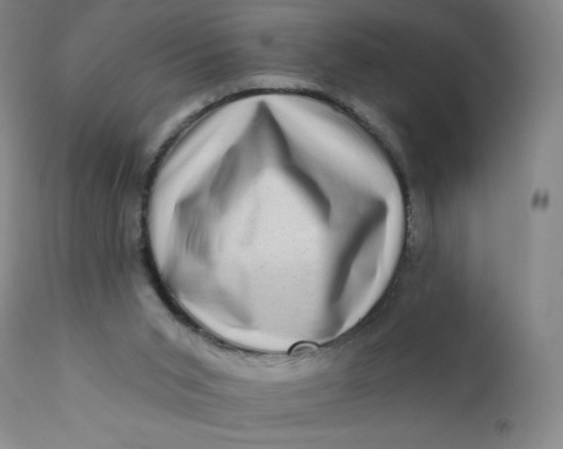 X0000112420015200909041423