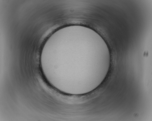 X0000112420016200909041423