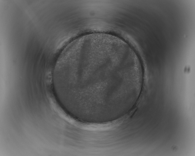 X0000112420017200909041423