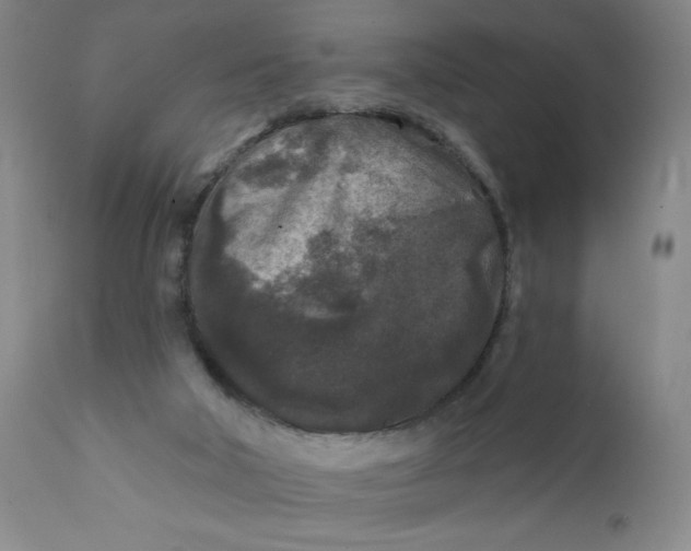 X0000112420018200909041423