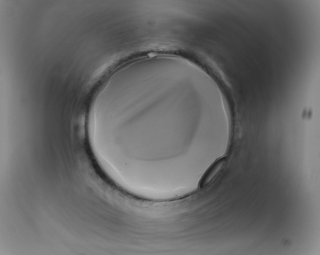 X0000112420019200909041423